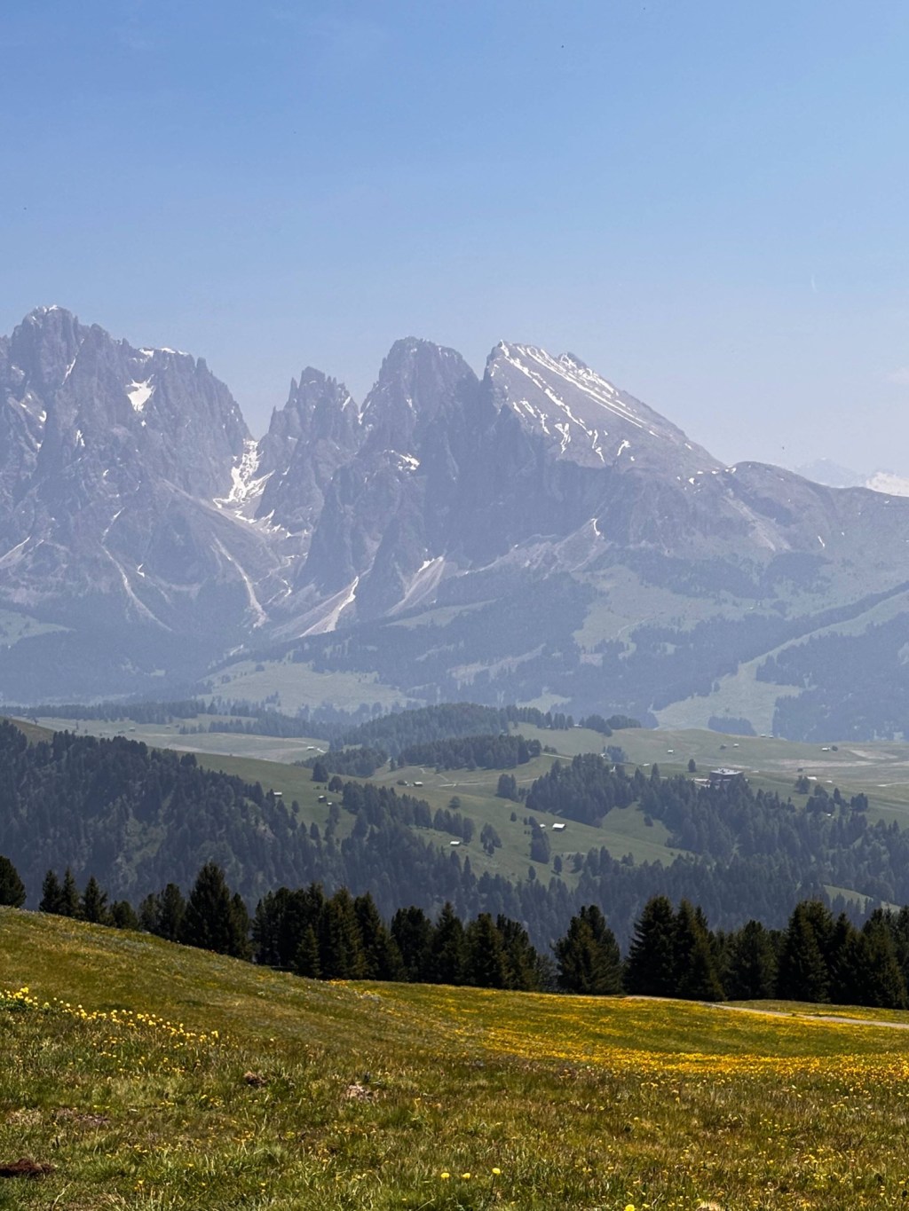 Wandern mit Hund auf der Seiser Alm