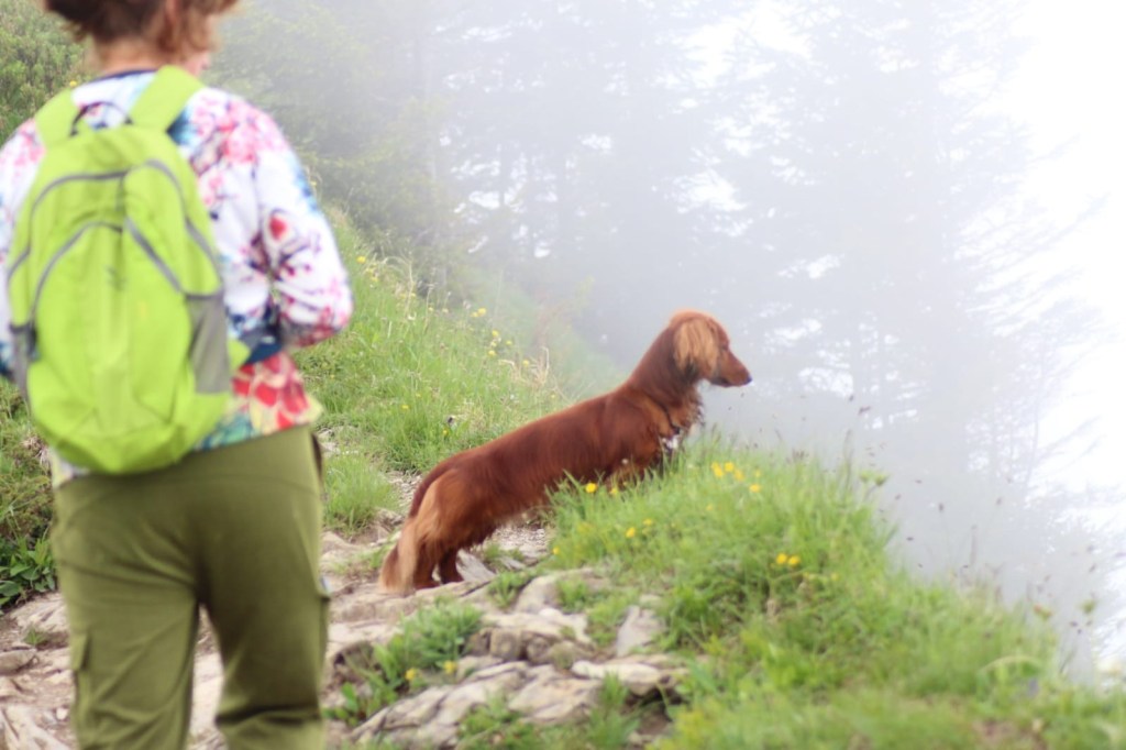 Allgäu mit Hund