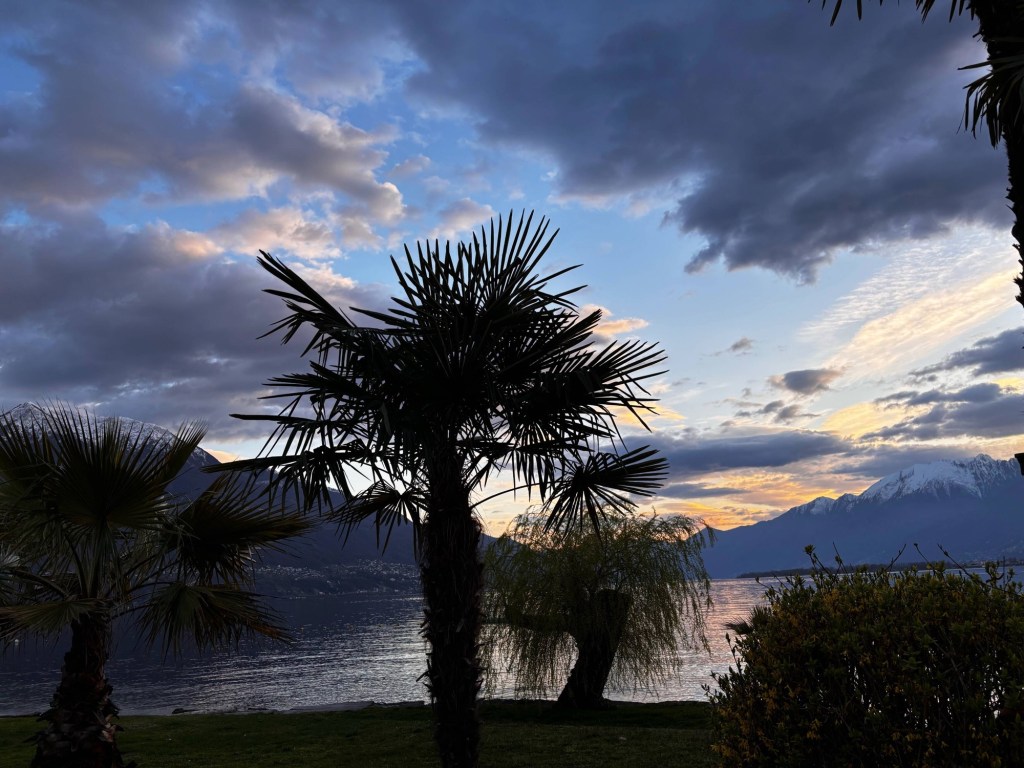 Urlaub mit Hund in&nbsp;Tenero