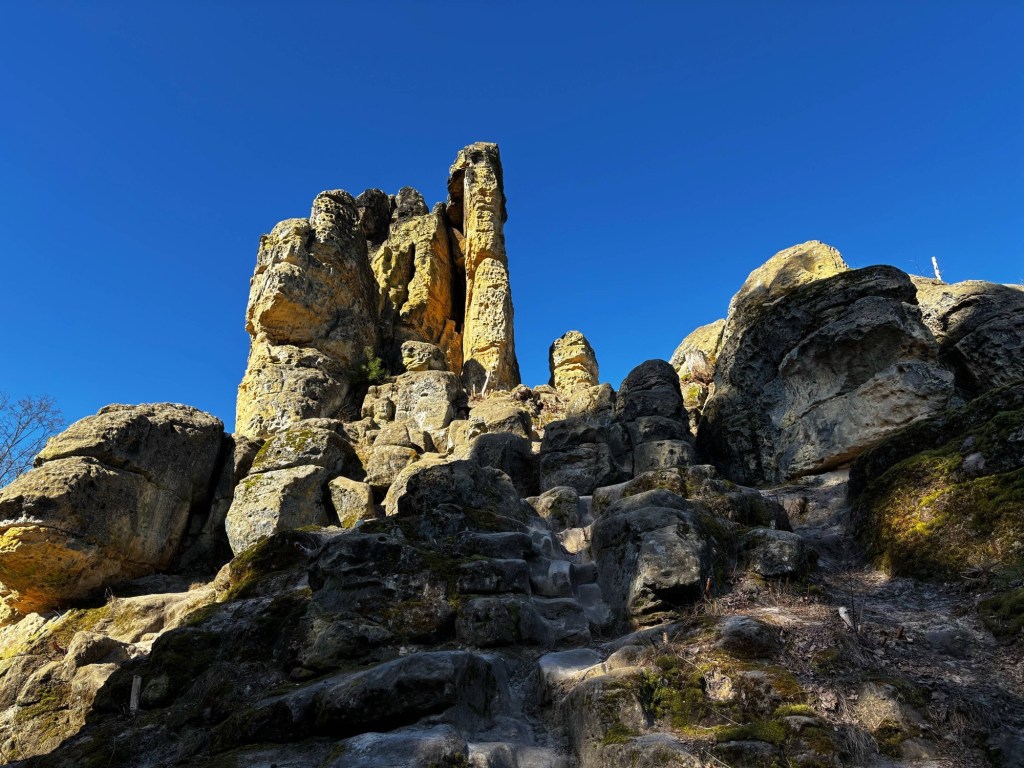 Eine Reise mit Hund nach&nbsp;Halberstadt
