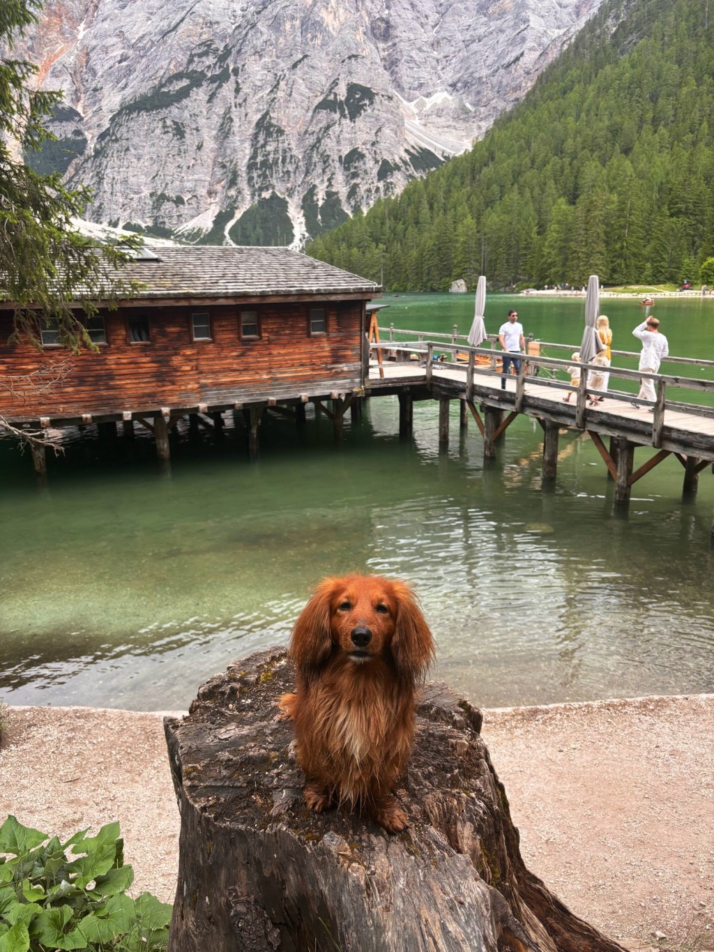 Pragser Wildsee mit&nbsp;Hund