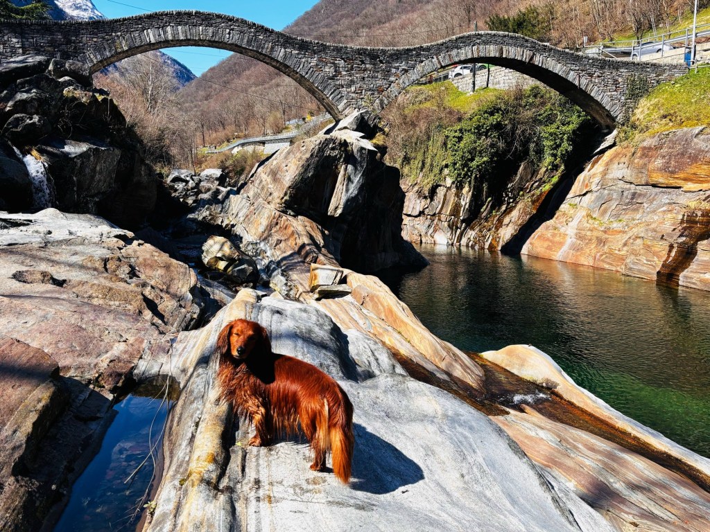 Traumhaften Hundeurlaub in&nbsp;Lavertezzo