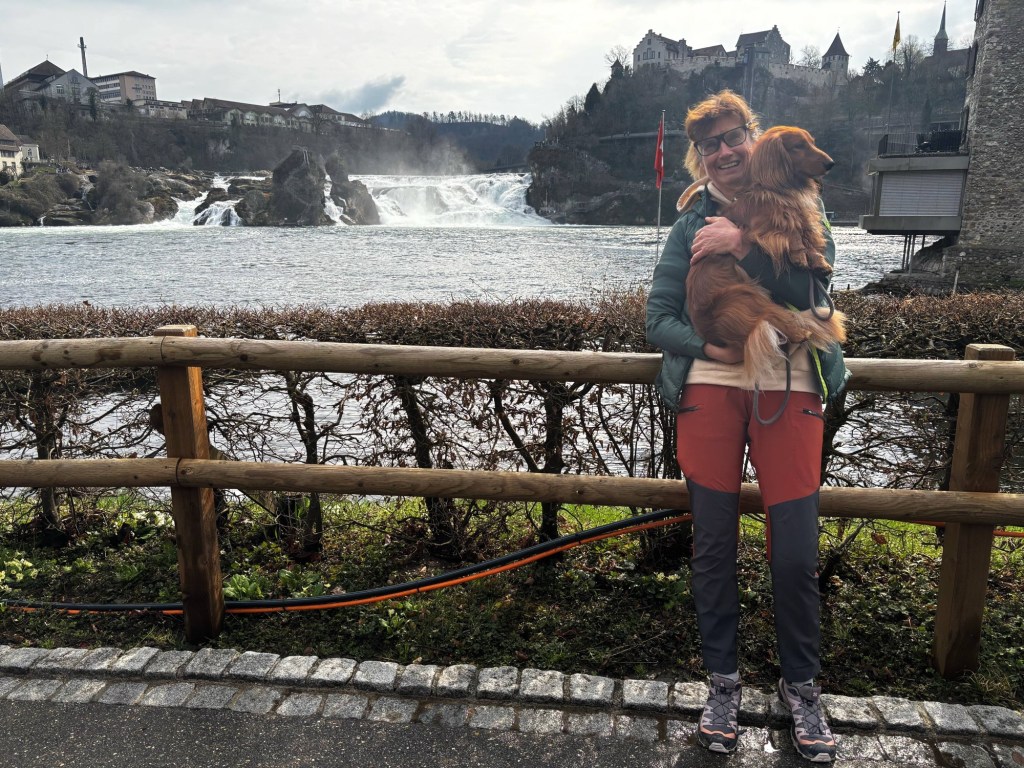 Rheinfall bei Schaffhausen – ein berühmtes Naturschauspiel und Spaziergänge mit&nbsp;Hund