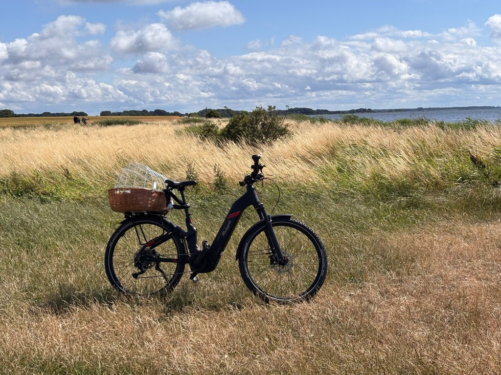 Schaprode auf Rügen