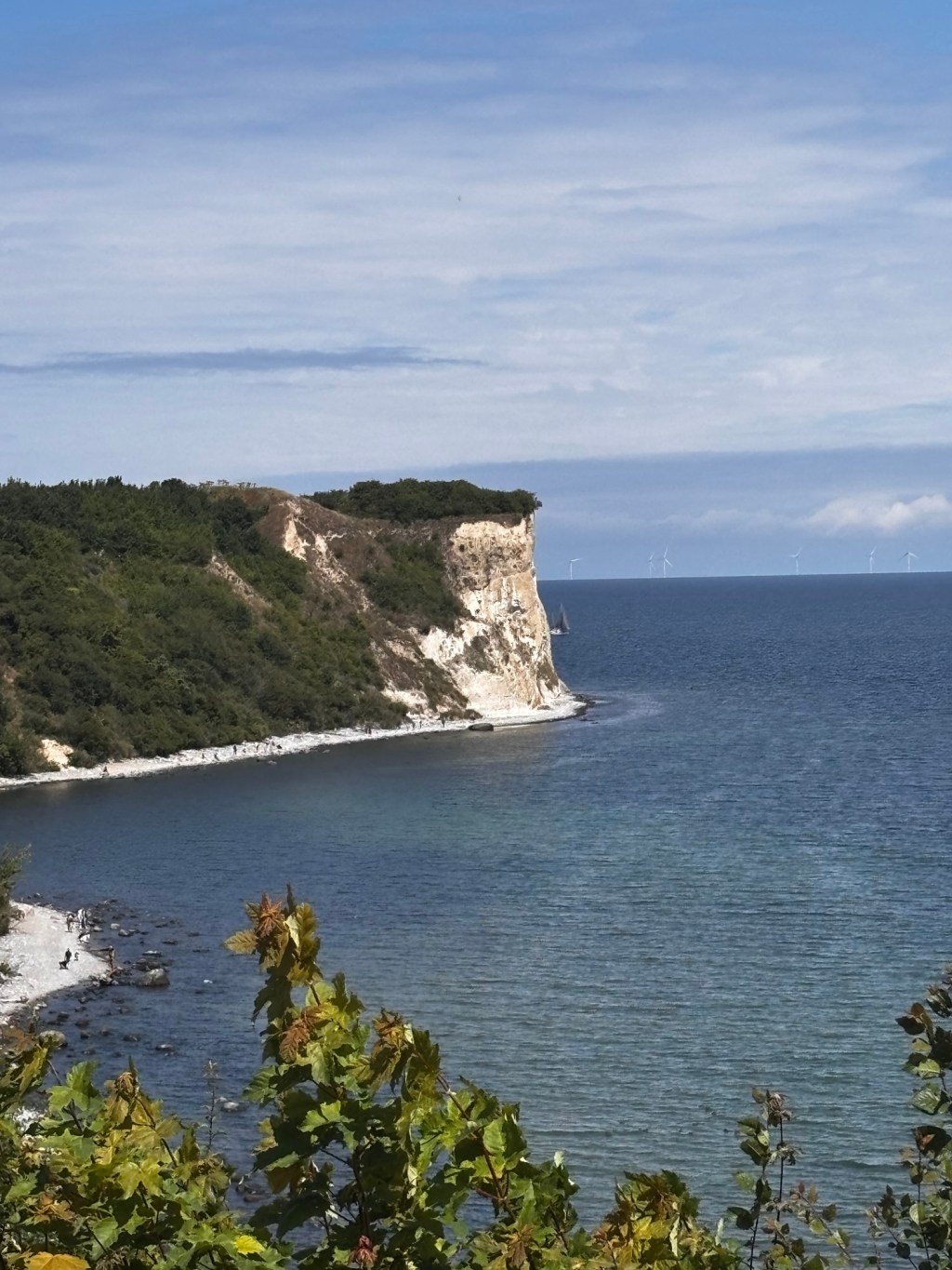 Tolle Hundeausflüge auf&nbsp;Rügen