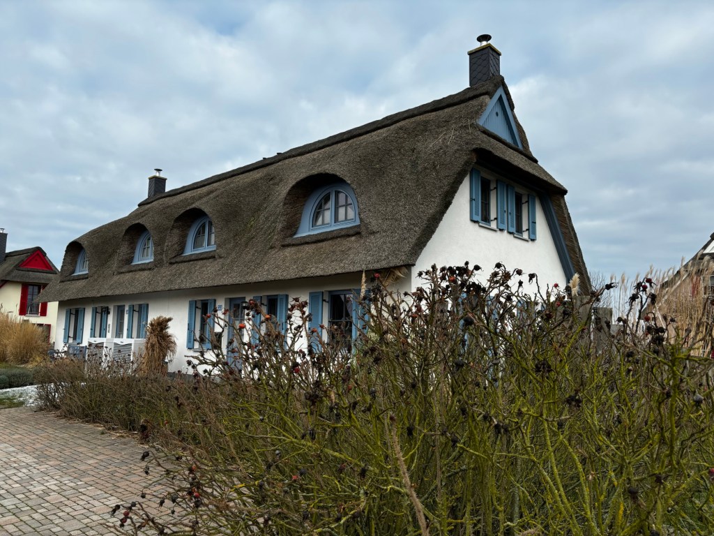 Ferien in Zierow mit Hund