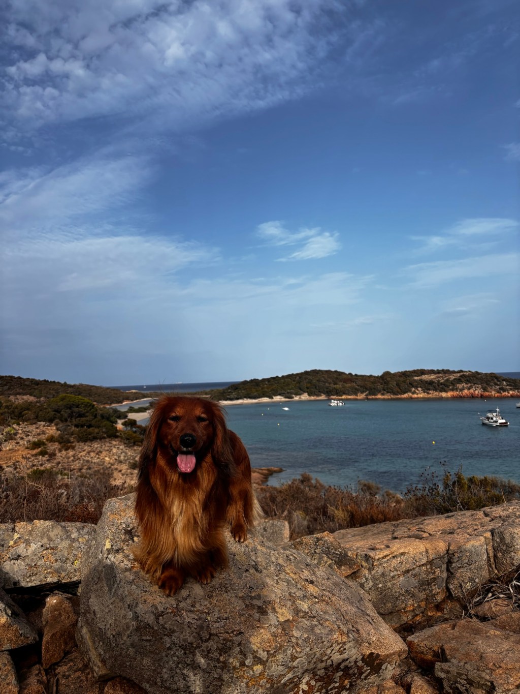 Urlaub mit Hund auf&nbsp;Korsika