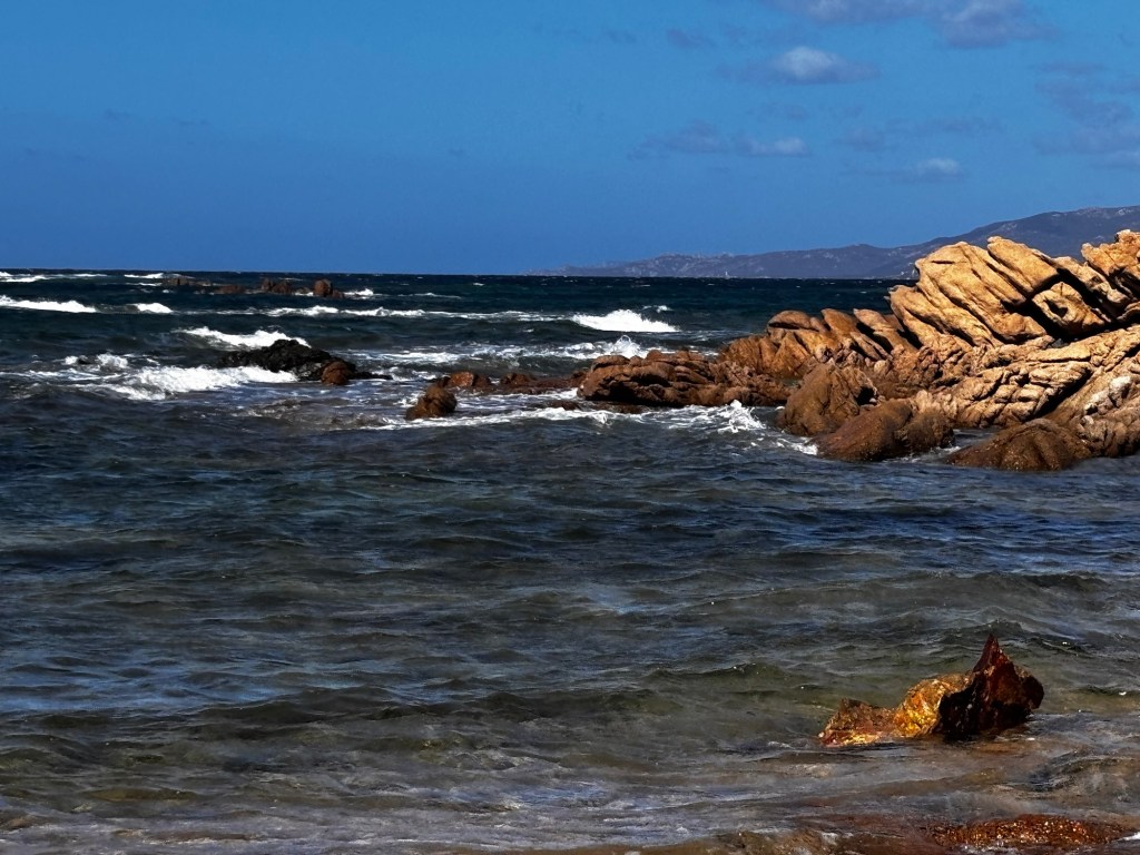 Wann ist die beste Reisezeit mit Hund auf Korsika?