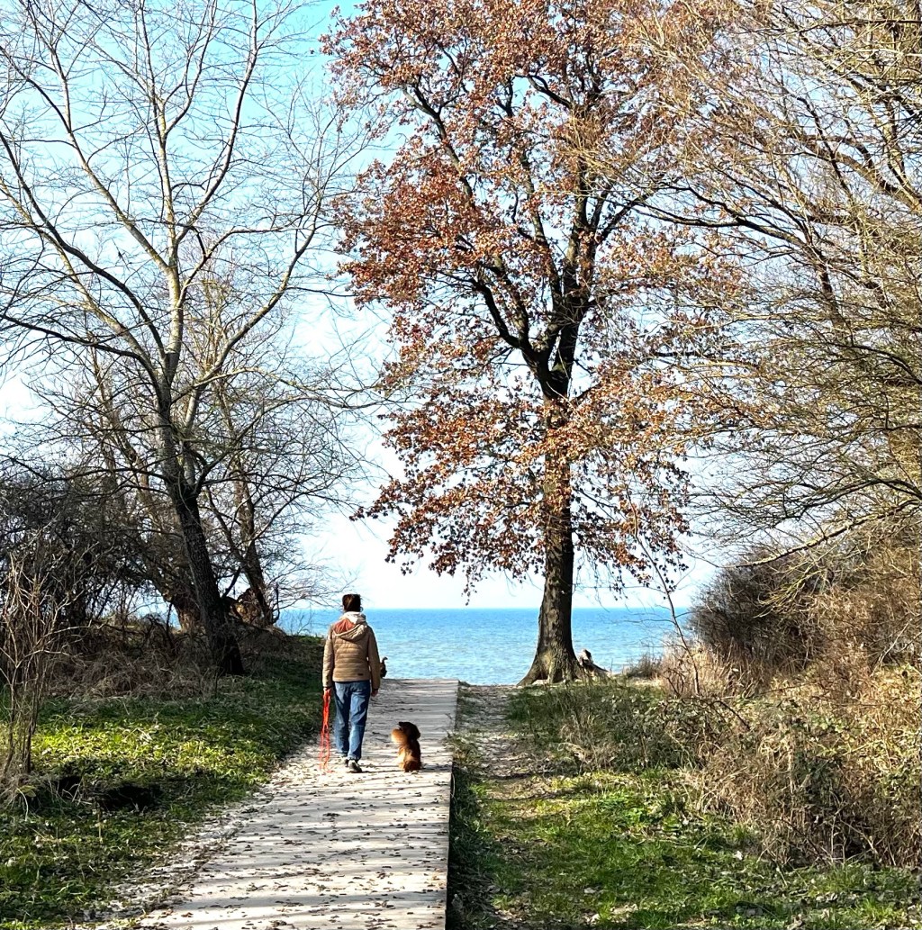 Der Klützer Winkel mit Hund