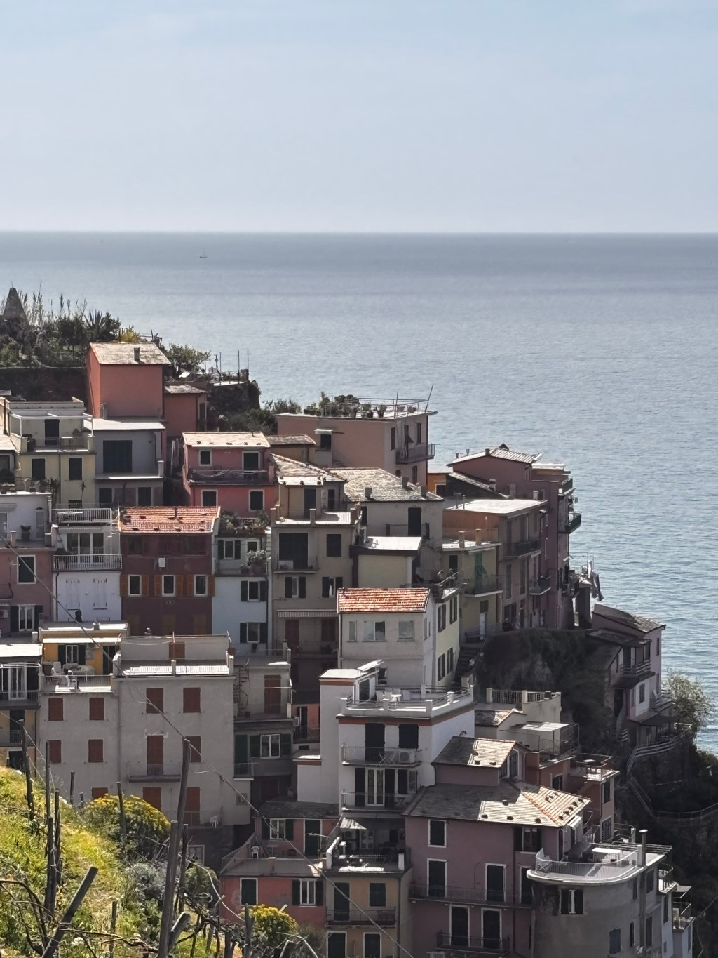 Riomaggiore mit Hund