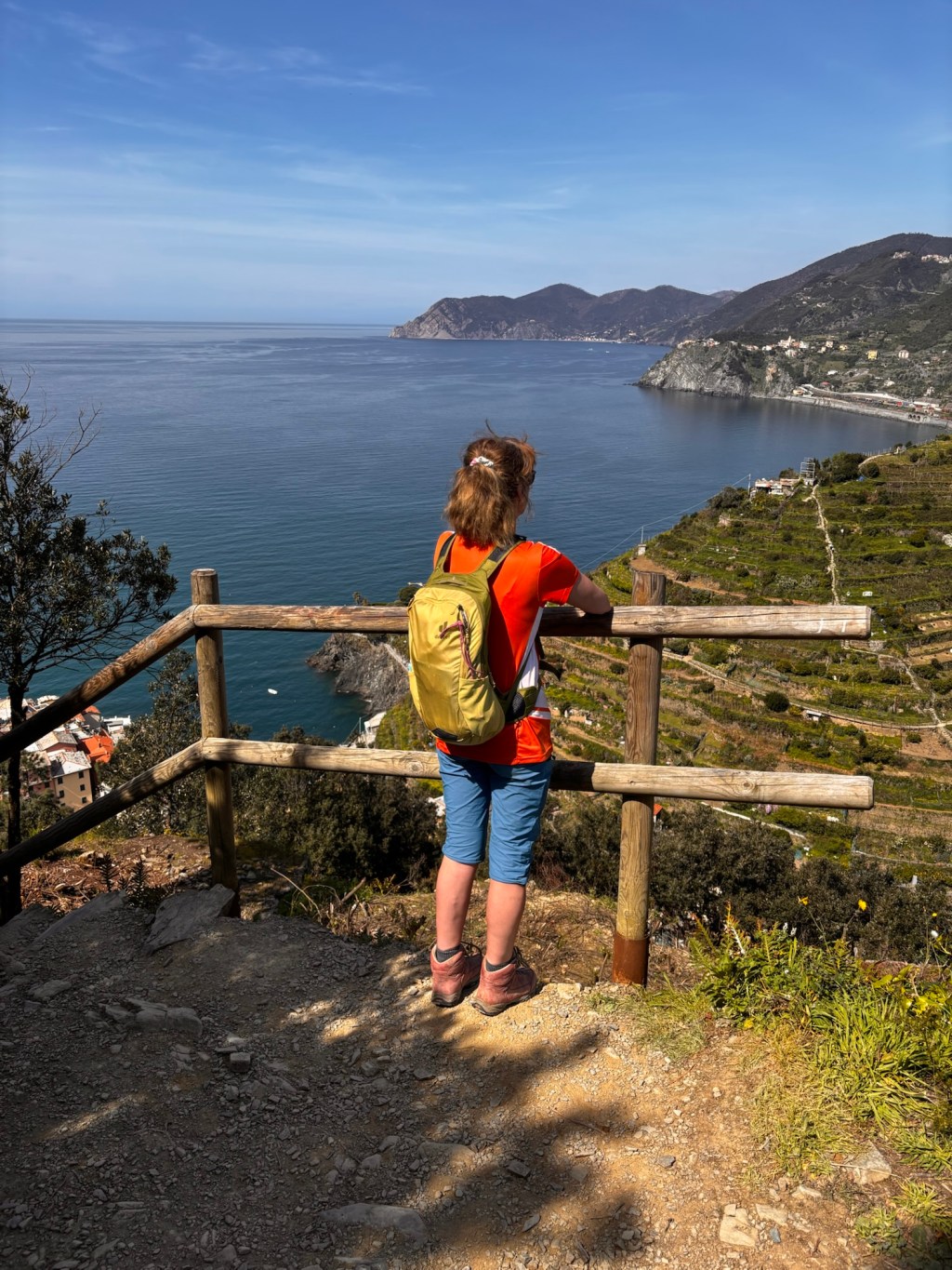 Dein Urlaub mit Hund 2026