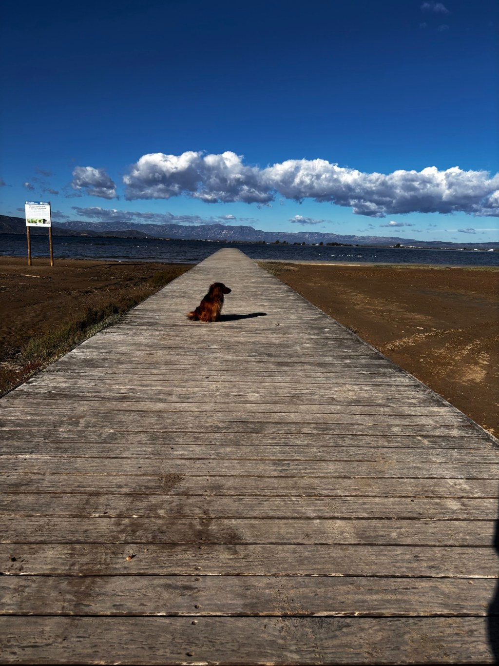 Urlaub mit Hund im Ebrodelta