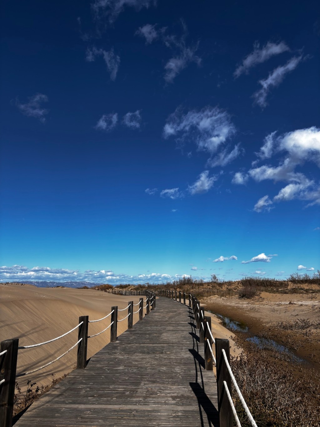Überwintern in Spanien mit Hund