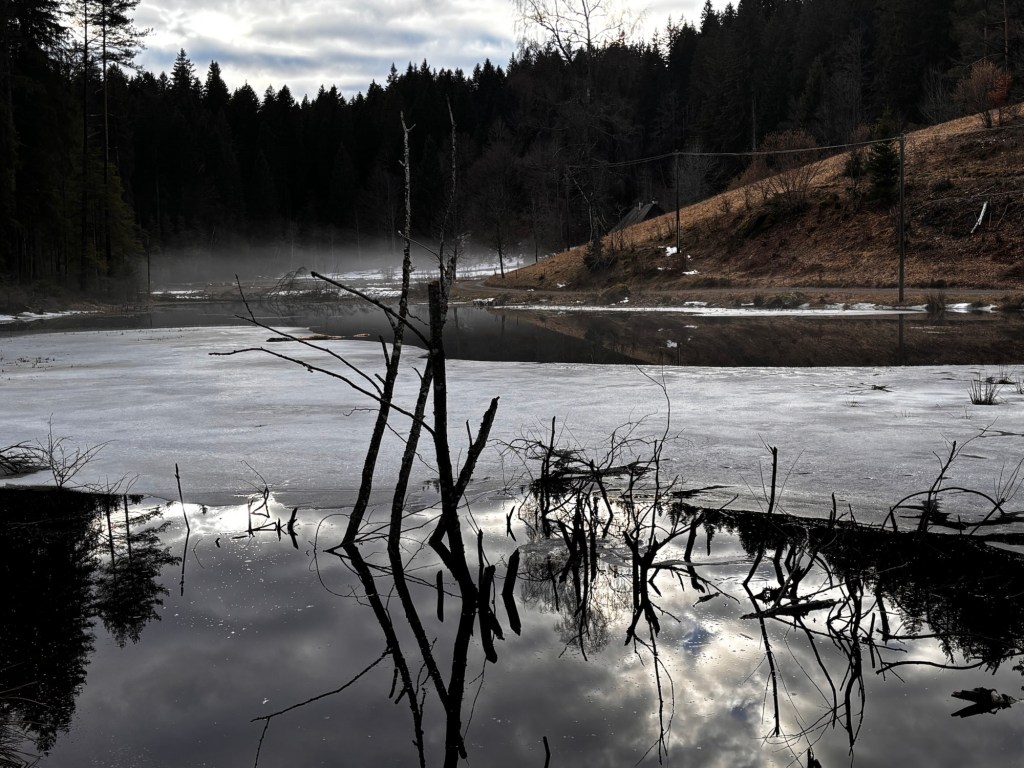 Urlaub mit Hund in&nbsp;Hinterzarten