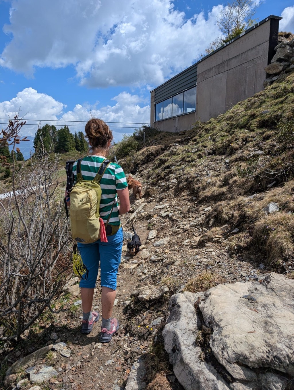 Mit den Hunden auf den&nbsp;Penkenberg