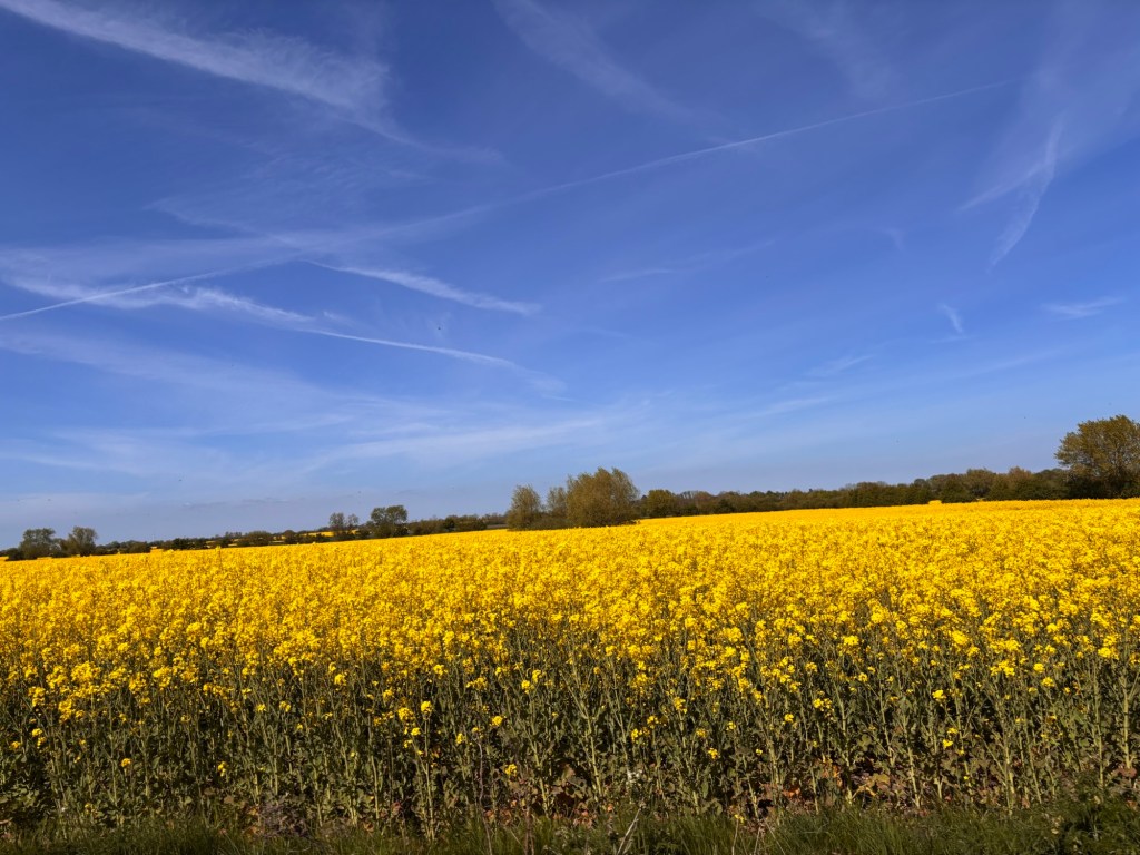 Wanderung in Fehmarn