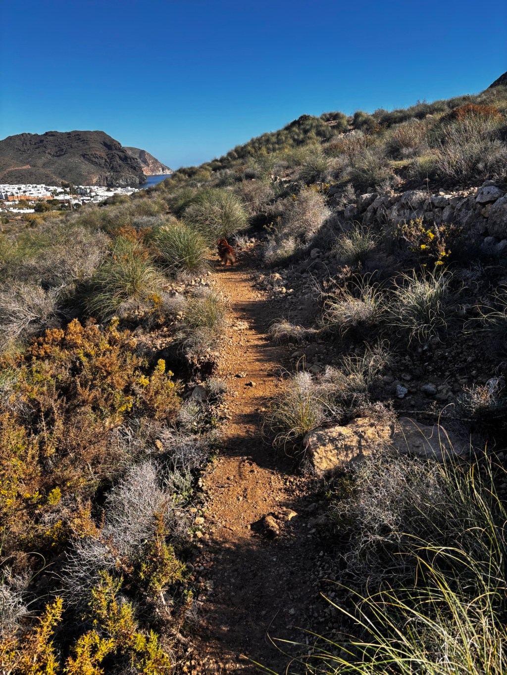 Überwintern Cabo de Gata