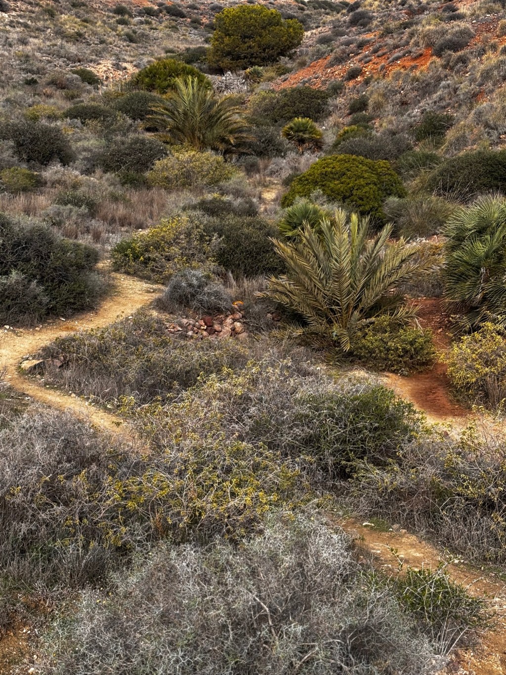 Überwintern in Spanien- erste Planungen